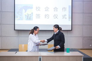 真實本位,創(chuàng)意傳播 我校文化傳媒學院畢業(yè)設計側(cè)記